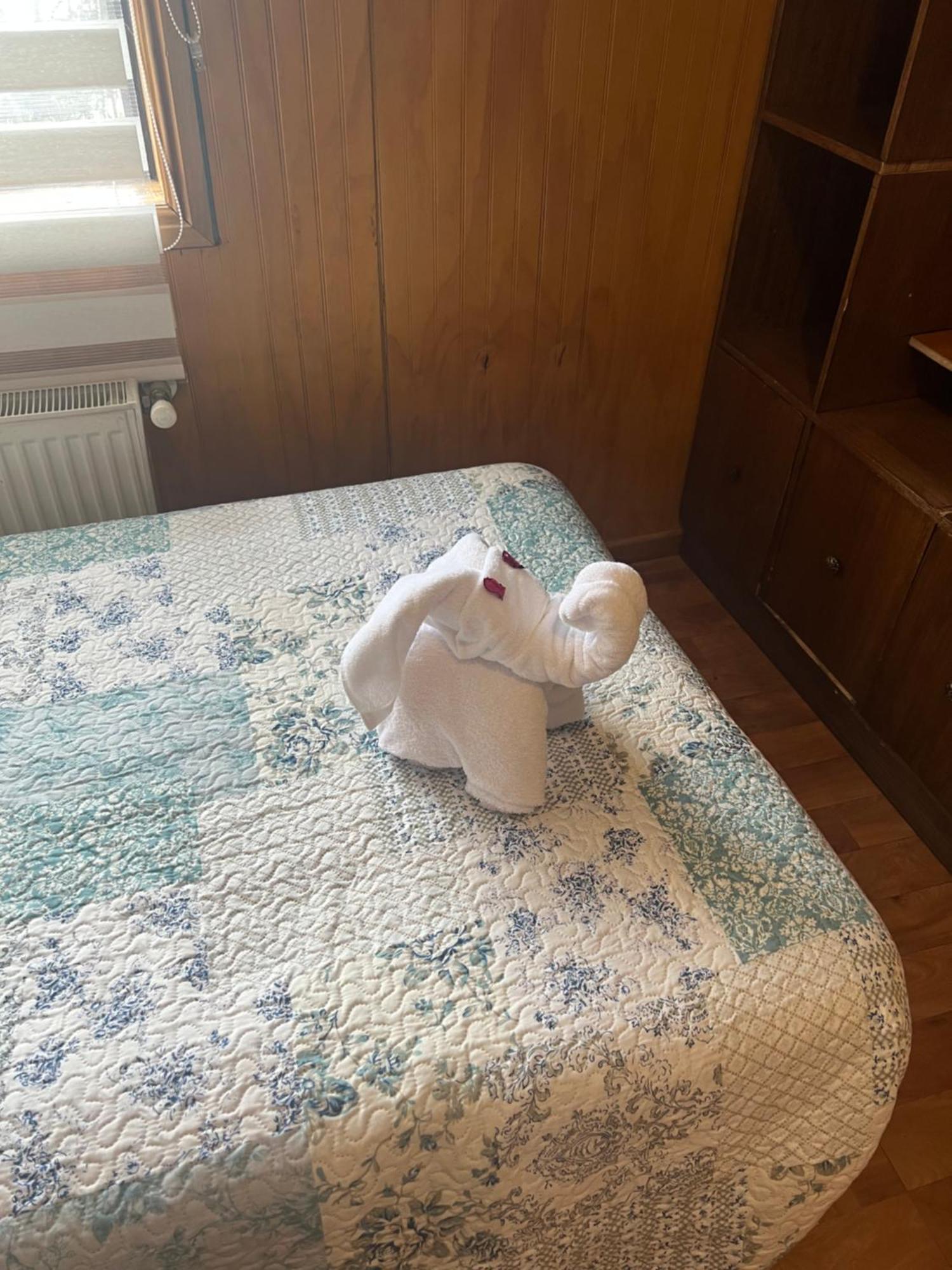 Hostal Victoria Punta Arenas Dış mekan fotoğraf